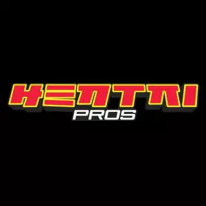 Hentai Pros Yearly